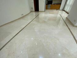 Orchard Scotts (D9), Condominium #446738601